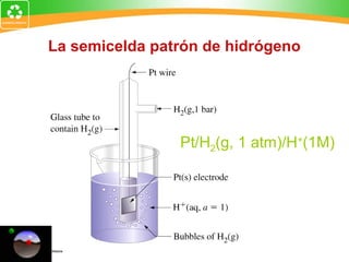 La semicelda patrón de hidrógeno
Pt/H2(g, 1 atm)/H+
(1M)
 
