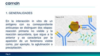 Pág. 6
1. GENERALIDADES
En la interacción in vitro de un
antígeno con su correspondiente
anticuerpo se distinguen dos etapas:
reacción primaria no visible y la
reacción secundaria, que sigue a la
anterior y se caracteriza por la
aparición de un fenómeno visible
como, por ejemplo, la aglutinación o
precipitación.
 