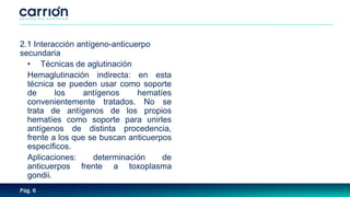 Pág. 6
2.1 Interacción antígeno-anticuerpo
secundaria
• Técnicas de aglutinación
Hemaglutinación indirecta: en esta
técnica se pueden usar como soporte
de los antígenos hematíes
convenientemente tratados. No se
trata de antígenos de los propios
hematíes como soporte para unirles
antígenos de distinta procedencia,
frente a los que se buscan anticuerpos
específicos.
Aplicaciones: determinación de
anticuerpos frente a toxoplasma
gondii.
 