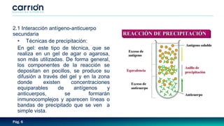Pág. 6
2.1 Interacción antígeno-anticuerpo
secundaria
• Técnicas de precipitación:
En gel: este tipo de técnica, que se
realiza en un gel de agar o agarosa,
son más utilizadas. De forma general,
los componentes de la reacción se
depositan en pocillos, se produce su
difusión a través del gel y en la zona
donde existen concentraciones
equiparables de antígenos y
anticuerpos, se formarán
inmunocomplejos y aparecen líneas o
bandas de precipitado que se ven a
simple vista.
 