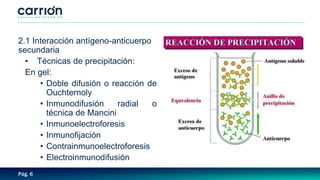 Pág. 6
2.1 Interacción antígeno-anticuerpo
secundaria
• Técnicas de precipitación:
En gel:
• Doble difusión o reacción de
Ouchternoly
• Inmunodifusión radial o
técnica de Mancini
• Inmunoelectroforesis
• Inmunofijación
• Contrainmunoelectroforesis
• Electroinmunodifusión
 