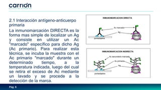 Pág. 6
2.1 Interacción antígeno-anticuerpo
primaria
La inmunomarcación DIRECTA es la
forma mas simple de localizar un Ag
y consiste en utilizar un Ac
"marcado" específico para dicho Ag
(Ac primario). Para realizar esta
técnica, se incuba la muestra con el
Ac primario "marcado" durante un
determinado tiempo, a la
temperatura indicada, luego del cual
se retira el exceso de Ac mediante
un lavado y se procede a la
detección de la marca.
 