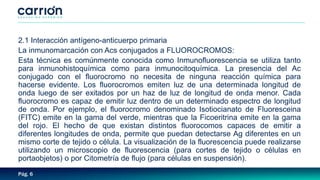 Pág. 6
2.1 Interacción antígeno-anticuerpo primaria
La inmunomarcación con Acs conjugados a FLUOROCROMOS:
Esta técnica es comúnmente conocida como Inmunofluorescencia se utiliza tanto
para inmunohistoquímica como para inmunocitoquímica. La presencia del Ac
conjugado con el fluorocromo no necesita de ninguna reacción química para
hacerse evidente. Los fluorocromos emiten luz de una determinada longitud de
onda luego de ser exitados por un haz de luz de longitud de onda menor. Cada
fluorocromo es capaz de emitir luz dentro de un determinado espectro de longitud
de onda. Por ejemplo, el fluorocromo denominado Isotiocianato de Fluoresceina
(FITC) emite en la gama del verde, mientras que la Ficoeritrina emite en la gama
del rojo. El hecho de que existan distintos fluorocomos capaces de emitir a
diferentes longitudes de onda, permite que puedan detectarse Ag diferentes en un
mismo corte de tejido o célula. La visualización de la fluorescencia puede realizarse
utilizando un microscopio de fluorescencia (para cortes de tejido o células en
portaobjetos) o por Citometría de flujo (para células en suspensión).
 