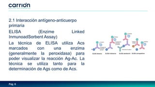 Pág. 6
2.1 Interacción antígeno-anticuerpo
primaria
ELISA (Enzime Linked
InmunoadSorbent Assay)
La técnica de ELISA utiliza Acs
marcados con una enzima
(generalmente la peroxidasa) para
poder visualizar la reacción Ag-Ac. La
técnica se utiliza tanto para la
determinación de Ags como de Acs.
 
