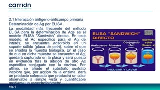 Pág. 6
2.1 Interacción antígeno-anticuerpo primaria
Determinación de Ag por ELISA
La modalidad más frecuente del método
ELISA para la determinación de Ags es el
modelo ELISA "Sandwich" directo. En este
modelo, el Ac específico para el Ag de
interés, se encuentra adsorbido en un
soporte sólido (placa de petri), sobre el que
se añadirá la muestra biológica. En el caso
de que en dicha muestra se encuentre el Ag,
quedará capturado en la placa y será puesto
en evidencia tras la adición de otro Ac
específico conjugado con la enzima. Por
último, se añade el substrato sustrato
incoloro que, por acción de la enzima, dará
un producto coloreado que producirá un color
observable a simple vista y cuantificable
mediante un espectrofotómetro
 
