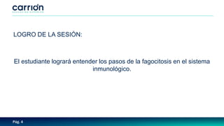 Pág. 4
LOGRO DE LA SESIÓN:
El estudiante logrará entender los pasos de la fagocitosis en el sistema
inmunológico.
 