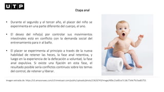 Etapa anal
• Durante el segundo y el tercer año, el placer del niño se
experimenta en una parte diferente del cuerpo, el ano.
• El deseo del niño(a) por controlar sus movimientos
intestinales está en conflicto con la demanda social del
entrenamiento para ir al baño.
• El placer se experimenta al principio a través de la nueva
habilidad de retener las heces, la fase anal retentiva, y
luego en la experiencia de la defecación a voluntad, la fase
anal expulsiva. Si existe una fijación en esta fase, el
resultado posible sería conflictos continuos sobre los temas
del control, de retener y liberar.
Imagen extraída de: https://s3.amazonaws.com/s3.timetoast.com/public/uploads/photo/13626743/image/40bc21e85ce7c18c77efe7fa7ea83755
 