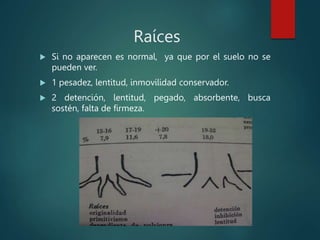 Raíces
 Si no aparecen es normal, ya que por el suelo no se
pueden ver.
 1 pesadez, lentitud, inmovilidad conservador.
 2 detención, lentitud, pegado, absorbente, busca
sostén, falta de firmeza.
 
