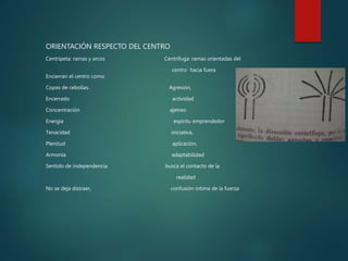 ORIENTACIÓN RESPECTO DEL CENTRO
Centrípeta: ramas y arcos Centrífuga: ramas orientadas del
centro hacia fuera
Encierran el centro como
Copas de cebollas. Agresión,
Encerrado actividad
Concentración ajetreo
Energía espíritu emprendedor
Tenacidad iniciativa,
Plenitud aplicación,
Armonía adaptabilidad
Sentido de independencia busca el contacto de la
realidad
No se deja distraer, confusión íntima de la fuerza
 