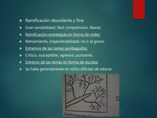  Ramificación abundante y fina
 Gran sensibilidad, fácil comprensión, liberal,
 Ramificación entretejida en forma de redes:
 Retraimiento, impenetrabilidad, no ir al grano.
 Extremos de las ramas puntiagudos:
 Crítico, susceptible, agresivo, punzante.
 Extremo de las tamas en forma de escoba:
 Se halla generalmente en niños difíciles de educar.
 