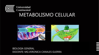 METABOLISMO CELULAR
BIOLOGIA GENERAL
DOCENTE: MG.VERONICA CANALES GUERRA
1
0
 