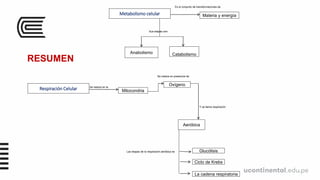Respiración Celular Mitocondria
Oxígeno
Aeróbica
Y se llama respiración
Se realiza en la
RESUMEN
Se realiza en presencia de
Metabolismo celular Materia y energía
Anabolismo Catabolismo
Es el conjunto de transformaciones de
Sus etapas son:
Glucólisis
La cadena respiratoria
Ciclo de Krebs
Las etapas de la respiración aeróbica es
 