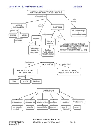 UNMSM-CENTRO PREUNIVERSITARIO Ciclo 2010-I
SOLUCIONARIO (Prohibida su reproducción y venta) Pág. 98
Semana Nº 7
EJERCICIOS DE CLASE Nº 07
SISTEMA CIRCULATORIO HUMANO
Constituido por
plan
general
por él
circula
VASOS
SANGUÍNEOS CORAZÓN
circulación mayor
y
circulación menor
SANGRE
Ruidos
Pulso arterial
Presión arterial
Llenado ventricular (0,5 seg)
Contracción isovolumétrica (0,1 seg)
Eyección (0,2 seg)
Relajación isovolumétrica (0,1 seg)
arterias
pueden ser
venas Manifestaciones
ciclo
cardiaco
capilares
Transporte
coagulación
sanguínea
funciones
EXCRECIÓN
PRODUCTOS DEL
METABOLISMO
HOMEOSTASIS
(OSMORREGULACIÓN)
orina sudor lágrimas
Eliminación
de contribuye
mediante
EXCRECIÓN
protozoarios hidrozoarios platelmintos anélidos insectos Vertebrados
Sístole y
diástole
por vacuola
retráctil
difusión nefridios tubos de
Malpighi
protonefridios riñones
 