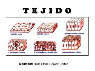 T E J I D O Mediador:  Hilda Elena Gómez Cortez 