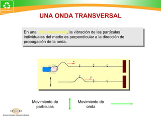 UNA ONDA TRANSVERSAL

En una onda transversal, la vibración de las partículas
 En una onda transversal, la vibración de las partículas
individuales del medio es perpendicular a la dirección de
 individuales del medio es perpendicular a la dirección de
propagación de la onda.
 propagación de la onda.




    Movimiento de             Movimiento de
     partículas                   onda
 