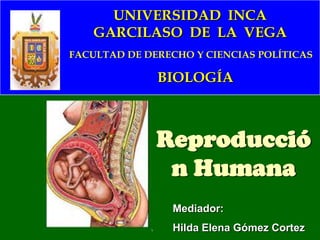 UNIVERSIDAD  INCA  GARCILASO  DE  LA  VEGA FACULTAD DE DERECHO Y CIENCIAS POLÍTICAS BIOLOGÍA Reproducción Humana 	Mediador:  Hilda Elena Gómez Cortez 