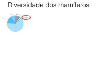 Diversidade dos mamíferos
 