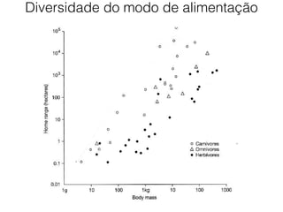 Diversidade do modo de alimentação
 