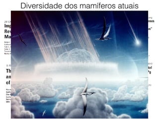 Diversidade dos mamíferos atuais
 