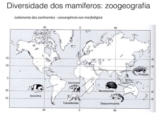 isolamento dos continentes - convergência eco-morfológica
Diversidade dos mamíferos: zoogeografia
 