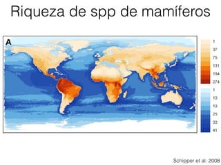Riqueza de spp de mamíferos
Schipper et al. 2008
 