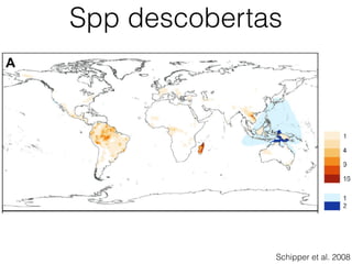 Spp descobertas
Schipper et al. 2008
 