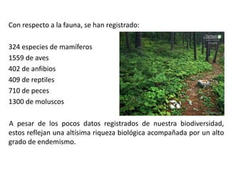 Con respecto a la fauna, se han registrado:
324 especies de mamíferos
1559 de aves
402 de anfibios
409 de reptiles
710 de peces
1300 de moluscos
A pesar de los pocos datos registrados de nuestra biodiversidad,
estos reflejan una altísima riqueza biológica acompañada por un alto
grado de endemismo.
 