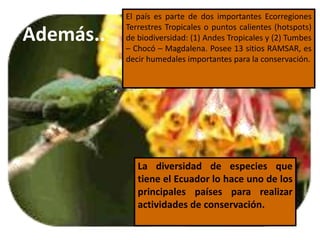 La diversidad de especies que
tiene el Ecuador lo hace uno de los
principales países para realizar
actividades de conservación.
El país es parte de dos importantes Ecorregiones
Terrestres Tropicales o puntos calientes (hotspots)
de biodiversidad: (1) Andes Tropicales y (2) Tumbes
– Chocó – Magdalena. Posee 13 sitios RAMSAR, es
decir humedales importantes para la conservación.
Además..
 
