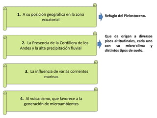 1. A su posición geográfica en la zona
ecuatorial
2. La Presencia de la Cordillera de los
Andes y la alta precipitación fluvial
3. La influencia de varias corrientes
marinas
Que da origen a diversos
pisos altitudinales, cada uno
con su micro-clima y
distintos tipos de suelo.
4. Al vulcanismo, que favorece a la
generación de microambientes
Refugio del Pleiostoceno.
 