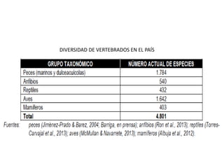 DIVERSIDAD DE VERTEBRADOS EN EL PAÍS
 