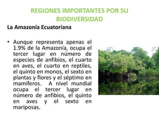 REGIONES IMPORTANTES POR SU
BIODIVERSIDAD
La Amazonía Ecuatoriana
• Aunque representa apenas el
1.9% de la Amazonía, ocupa el
tercer lugar en número de
especies de anfibios, el cuarto
en aves, el cuarto en reptiles,
el quinto en monos, el sexto en
plantas y flores y el séptimo en
mamíferos. A nivel mundial
ocupa el tercer lugar en
número de anfibios, el quinto
en aves y el sexto en
mariposas.
 