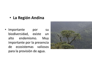 • La Región Andina
• Importante por su
biodiversidad, existe un
alto endemismo. Muy
importante por la presencia
de ecosistemas valiosos
para la provisión de agua.
 