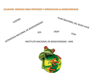 INSTITUTO NACIONAL DE BIODIVERSIDAD - MAE
IEPI SNAP
 