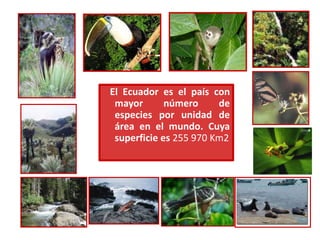 El Ecuador es el país con
mayor número de
especies por unidad de
área en el mundo. Cuya
superficie es 255 970 Km2
 