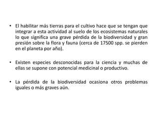 • El habilitar más tierras para el cultivo hace que se tengan que
integrar a esta actividad al suelo de los ecosistemas naturales
lo que significa una grave pérdida de la biodiversidad y gran
presión sobre la flora y fauna (cerca de 17500 spp. se pierden
en el planeta por año).
• Existen especies desconocidas para la ciencia y muchas de
ellas se supone con potencial medicinal o productivo.
• La pérdida de la biodiversidad ocasiona otros problemas
iguales o más graves aún.
 