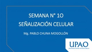 SEMANA N° 1O
SEÑALIZACIÓN CELULAR
Mg. PABLO CHUNA MOGOLLÓN
 