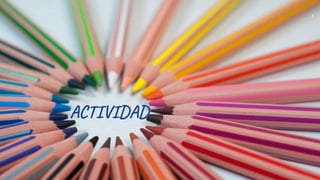 ACTIVIDAD
3
 