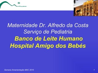 Maternidade Dr. Alfredo da Costa Serviço de Pediatria   Banco de Leite Humano Hospital Amigo dos Bebés 