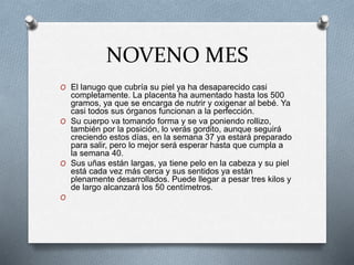 NOVENO MES
O El lanugo que cubría su piel ya ha desaparecido casi
completamente. La placenta ha aumentado hasta los 500
gramos, ya que se encarga de nutrir y oxigenar al bebé. Ya
casi todos sus órganos funcionan a la perfección.
O Su cuerpo va tomando forma y se va poniendo rollizo,
también por la posición, lo verás gordito, aunque seguirá
creciendo estos días, en la semana 37 ya estará preparado
para salir, pero lo mejor será esperar hasta que cumpla a
la semana 40.
O Sus uñas están largas, ya tiene pelo en la cabeza y su piel
está cada vez más cerca y sus sentidos ya están
plenamente desarrollados. Puede llegar a pesar tres kilos y
de largo alcanzará los 50 centímetros.
O
 