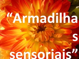 “ Armadilhas sensoriais” 