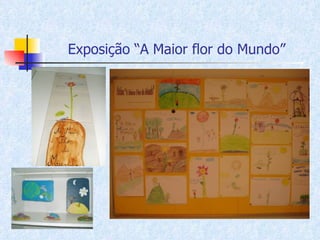 Exposição “A Maior flor do Mundo” 