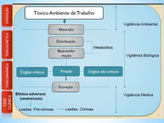 FASE
CLÍNICA
TOXICODINÂMICATOXICOCINÉTICAEXPOSIÇÃO
 