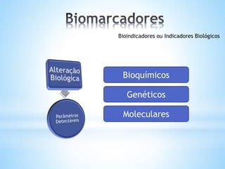 Bioindicadores ou Indicadores Biológicos
Bioquímicos
Genéticos
Moleculares
 