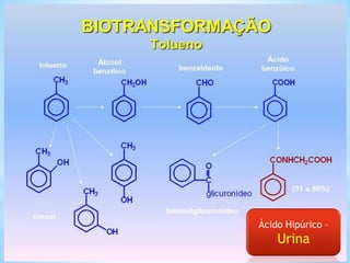 Ácido Hipúrico –
Urina
 