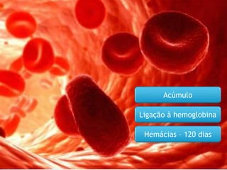 Acúmulo
Ligação à hemoglobina
Hemácias – 120 dias
 