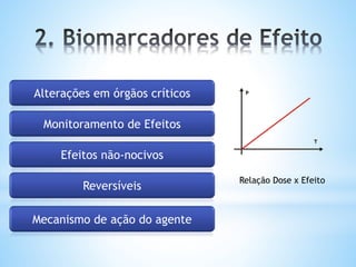 Alterações em órgãos críticos
Monitoramento de Efeitos
Efeitos não-nocivos
Reversíveis
Mecanismo de ação do agente
Relação Dose x Efeito
 