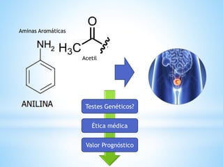 Aminas Aromáticas
Acetil
Testes Genéticos?
Ética médica
Valor Prognóstico
 