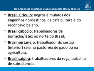 Os 5 tipos de mestiços atuais segundo Darcy Ribeiro

• Brasil Crioulo: negros e mulatos dos
engenhos nordestinos, da cafeicultura e do
recôncavo baiano.
• Brasil caboclo: trabalhadores da
borracha/látex no norte do Brasil.
• Brasil sertanejo: trabalhador do sertão
(interior) seja no pastoreio de gado ou na
agricultura.
• Brasil caipira: trabalhadores da roça, trabalho
de subsistencia.

 