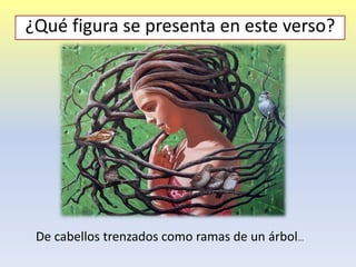 De cabellos trenzados como ramas de un árbol…
¿Qué figura se presenta en este verso?
 