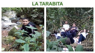 LA TARABITA
 